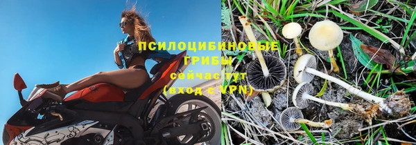 jwh Армянск