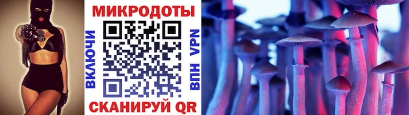 Псилоцибиновые грибы Psilocybe  Купить где  Болхов 