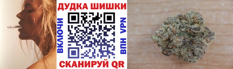 Конопля план  Купить где  Болхов 